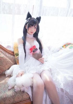 一品小说快应用_720日韩免费观看